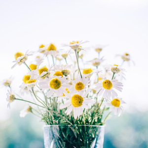 美女露出㊙️胸奶头亲吻
